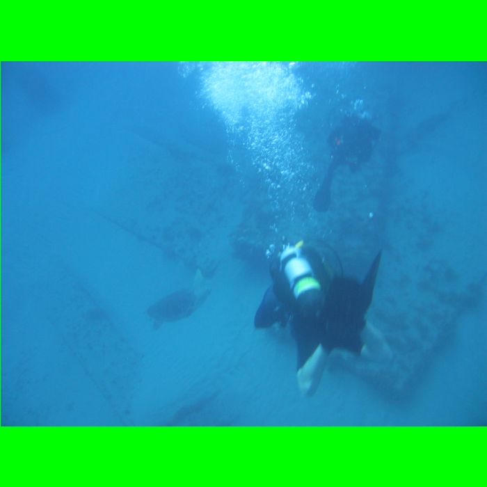 Dive WP Wrecks 25-Oct-09_433.JPG